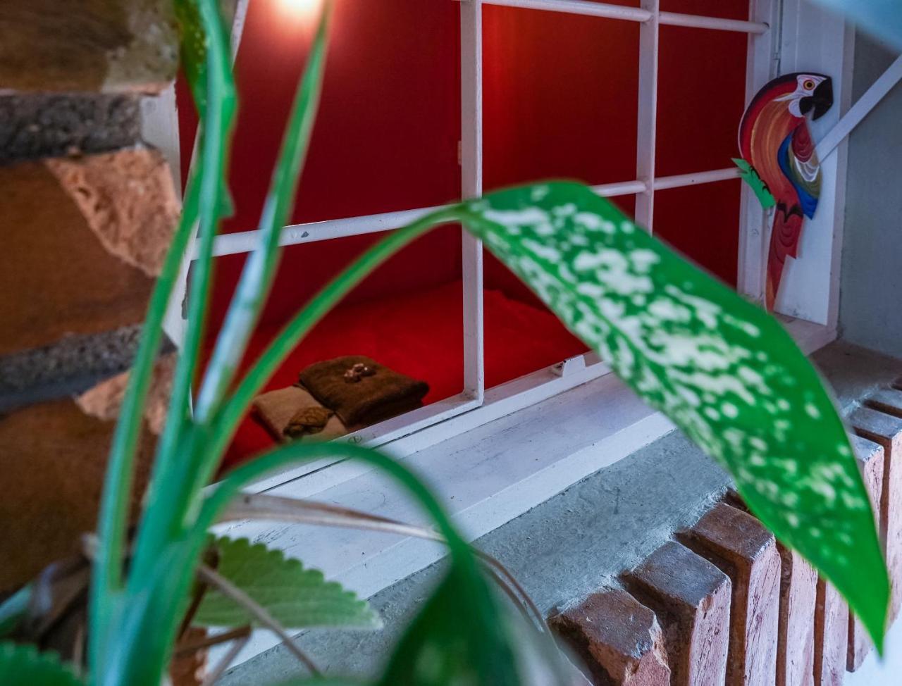 Hostel Tropico De Capricornio - Itagua Ubatuba Kültér fotó