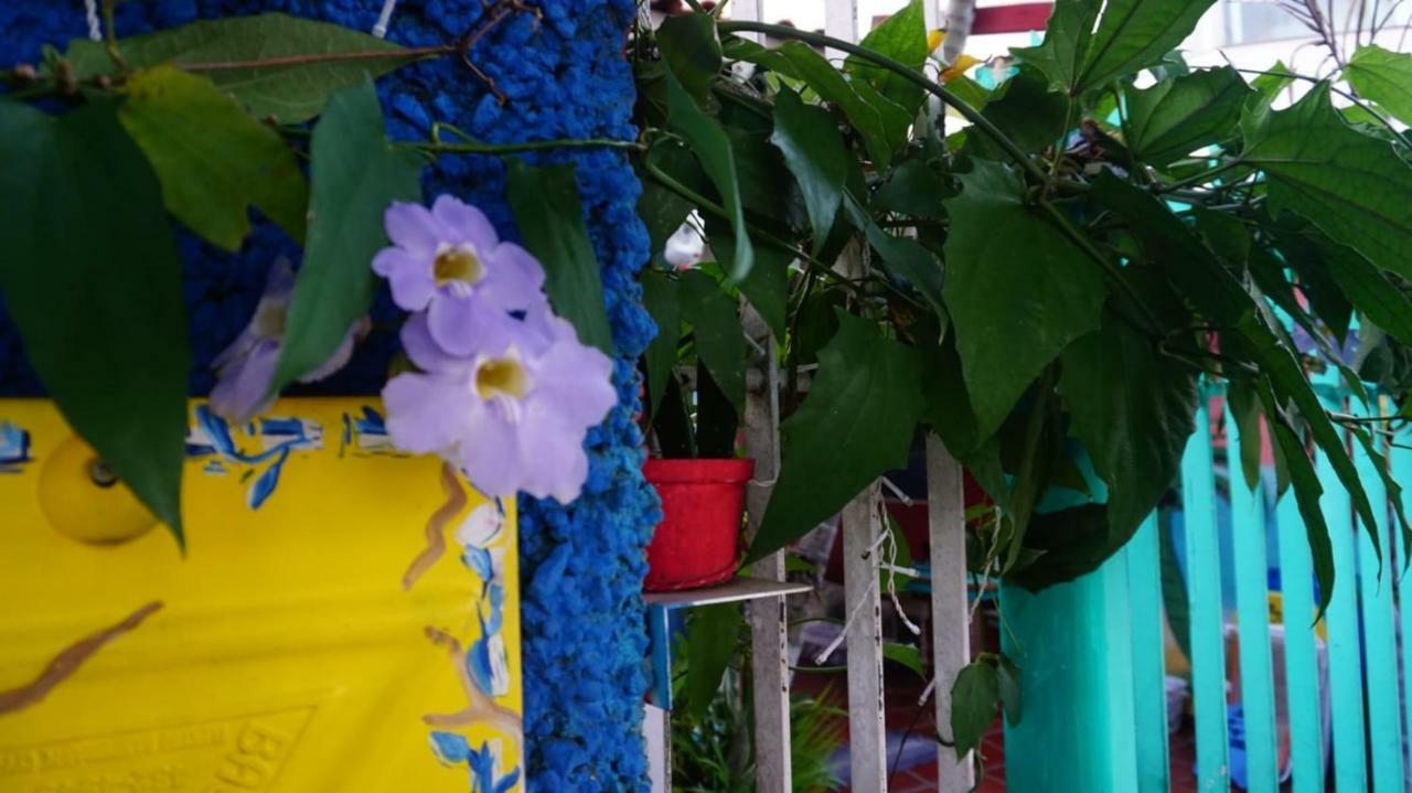 Hostel Tropico De Capricornio - Itagua Ubatuba Kültér fotó